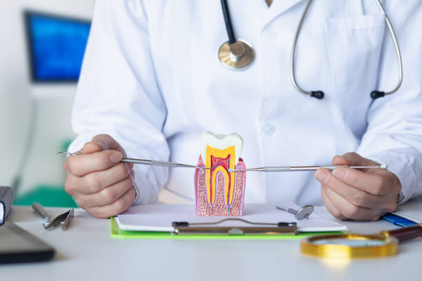 Best Emergency Dentist for Lost Fillings or Crowns in Tyro, NC